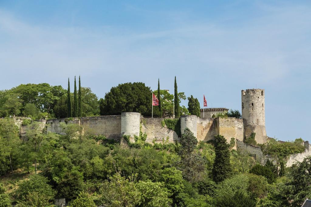 Residence Prestige Odalys Le Clos Saint Michel Chinon Bagian luar foto